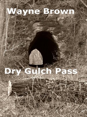 cover image of Dry Gulch Pass